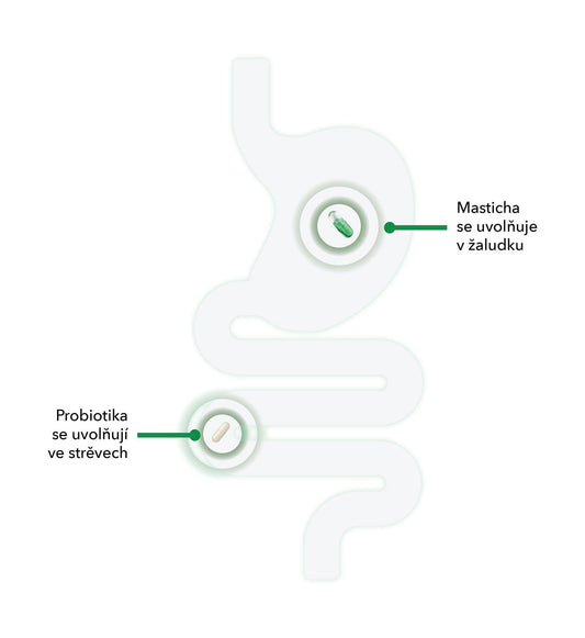 Představujeme: Masticha Vital - Double Action!
