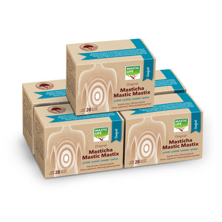 Masticha Comfort Economy Pack (140 sáčků) Masticlife