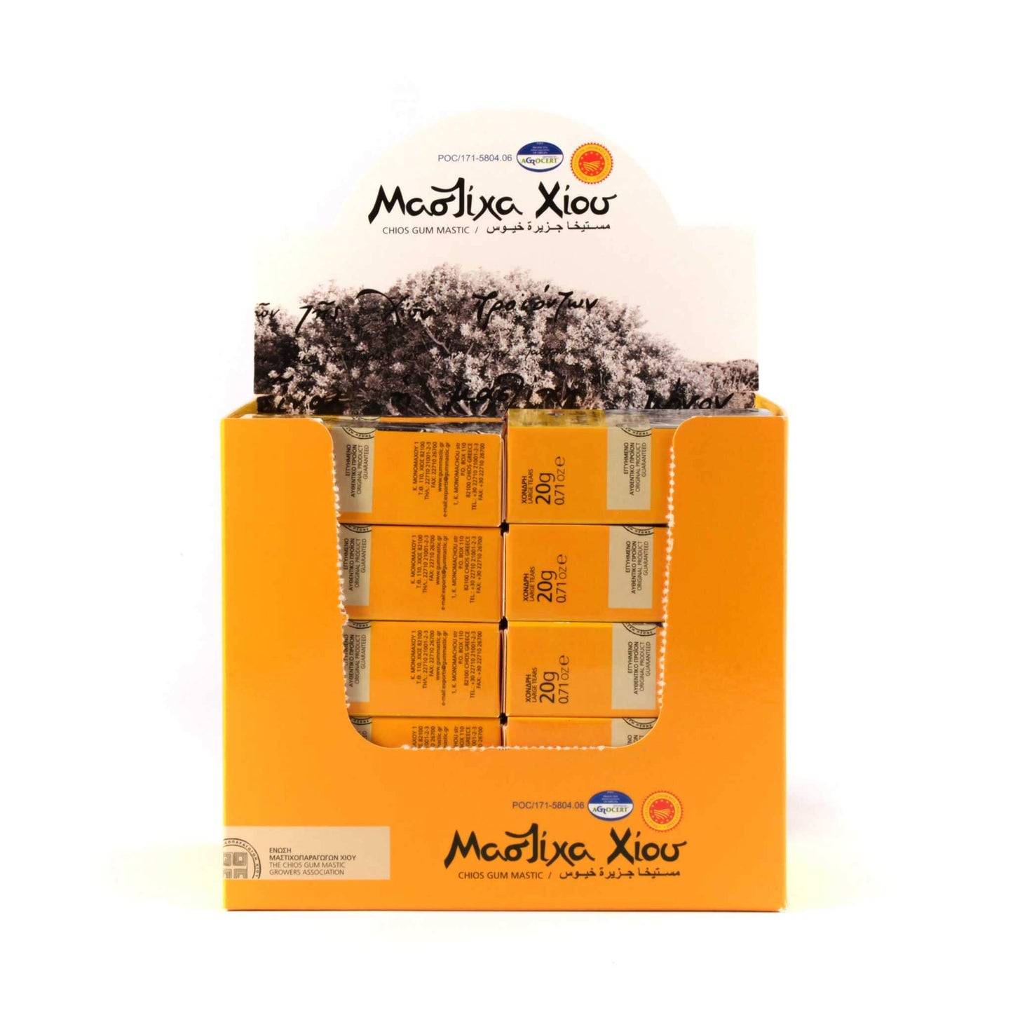 Masticha Slzy, velké krystaly, box (20 x 20 g)