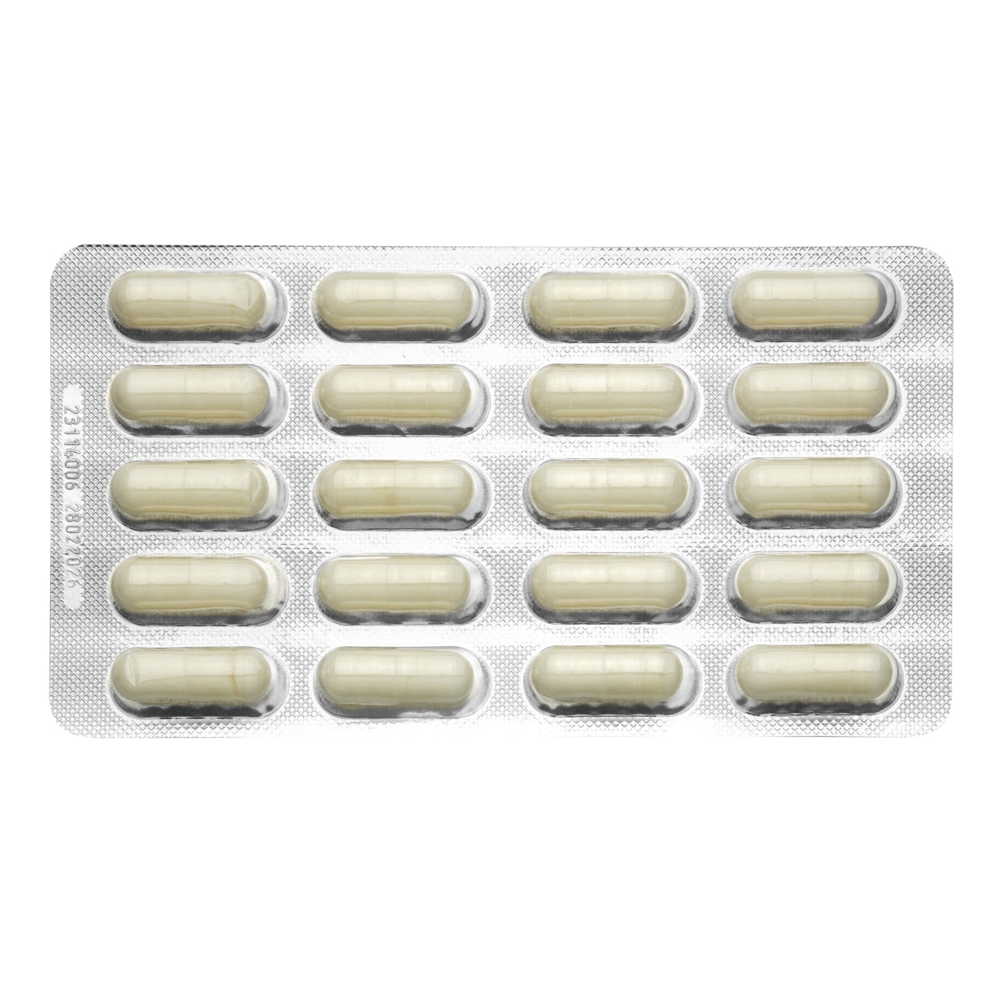 Masticha Strong&Pure Economy Pack (240 kapslí) Masticlife