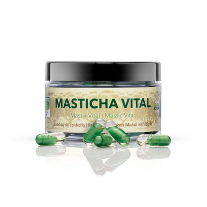 Masticha Vital, masticha s probiotiky – komplexní zdroj vitality