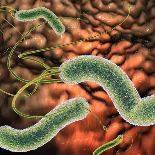 5 dietních tipů, pokud máte žaludeční vředy (infekce H. pylori)