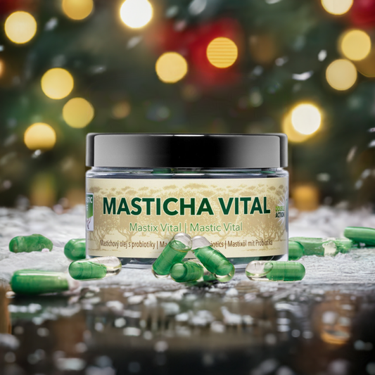 Masticha Vital Double Action (60 dvojkapslí) Masticlife vánoční atmosféra