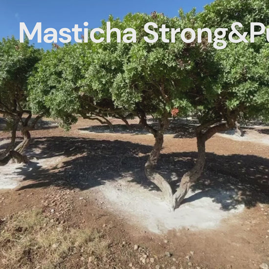 Masticha Strong&Pure – síla chioské substance pro zdraví (složení + účinky) video
